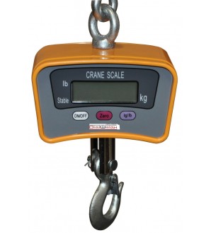 DIGIWEIGH DWP-500C2X CRANE SCALE