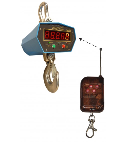 DIGIWEIGH DWP-20000C2X CRANE SCALE