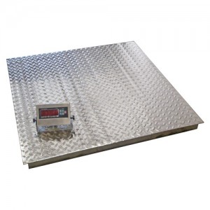 Stainless Steel Scales (2)
